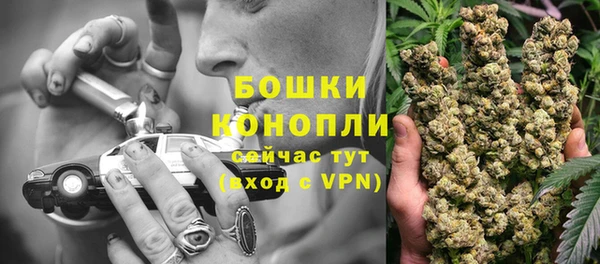 спайс Мегион