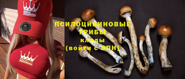 мдпв Михайловка