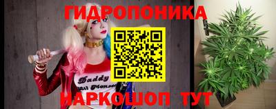 шишки Гагарин