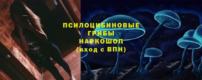 Галлюциногенные грибы мухоморы  blacksprut сайт  Дзержинск 